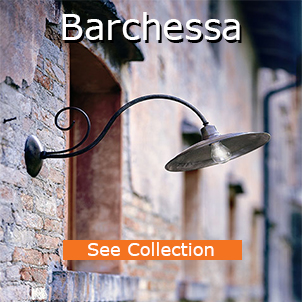 Barchessas Cat photoshop
